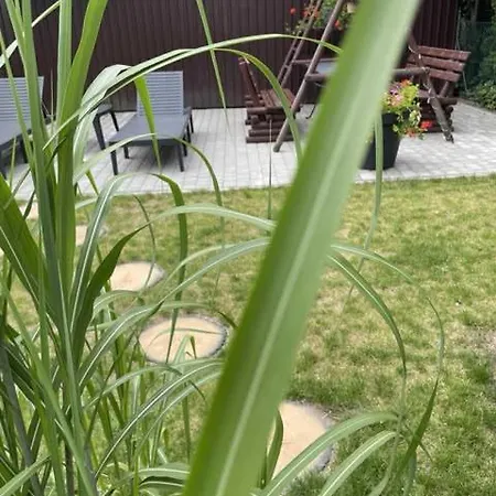 Goscinne Maxim Kwatera prywatna *