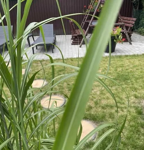 Goscinne Maxim Homestay szállás *